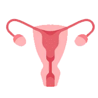 Ayurvedic Treatment for Cervical Cancer
