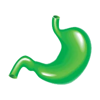 Ayurvedic Treatment for Stomach Cancer